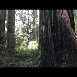 Meet your Posher, Jack